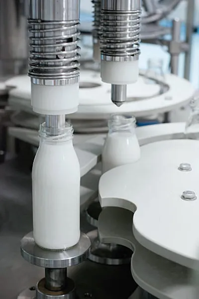 Fabrica Cosmetica Packaging Machine